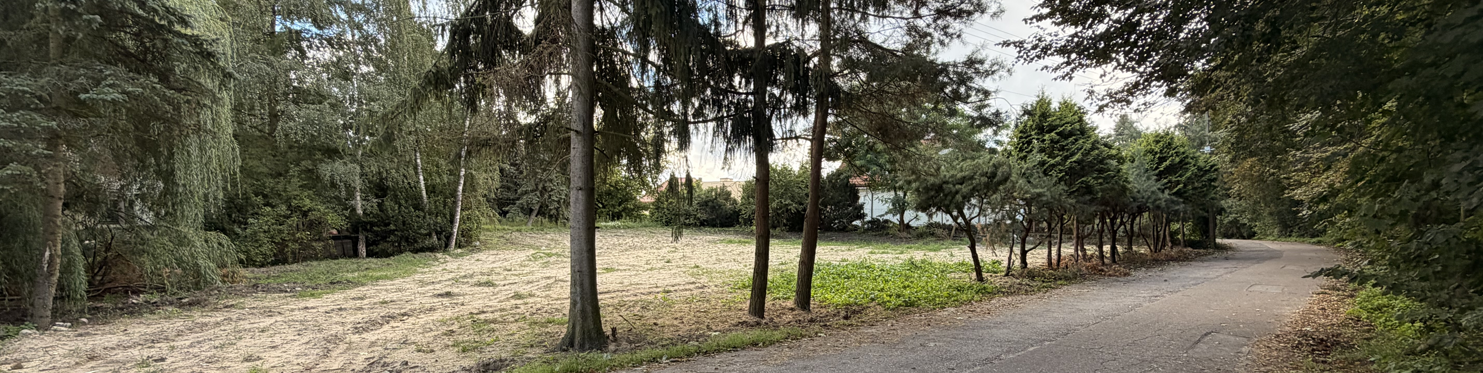 Wartość dodana - panorama